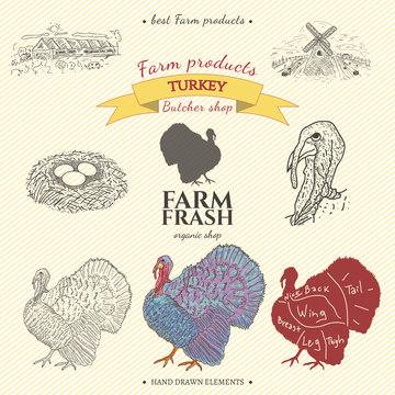 Turkey farm collection