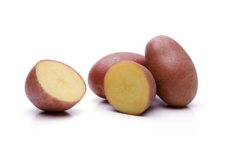 Magnolie