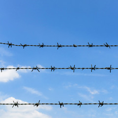 Barbed wire