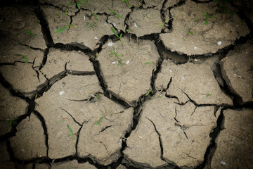dry land