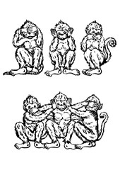 Fototapeta premium funny 3 monkeys concept, illustration design, hand drawn