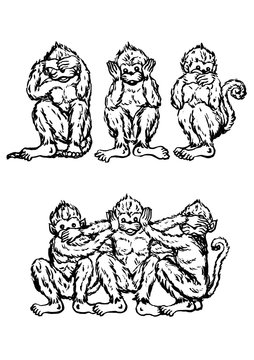 funny 3 monkeys concept, illustration design, hand drawn