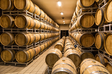 cellar with barrels for storage of wine, Italy
