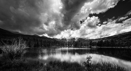 Sprague Lake Colorado Black and White