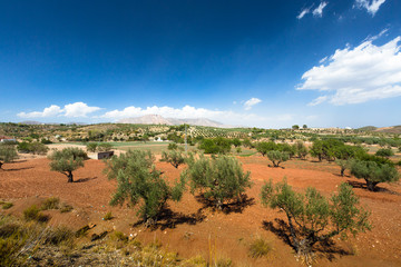 Nature of Spain, rural landscape