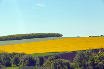Fototapeta premium Spring landscape in the Danube plain Bulgaria.