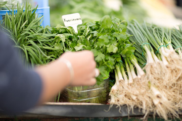 Fresh green coriander and spring onions on stall.