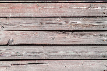 Fototapeta premium Light wooden fence