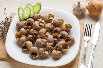 Top view of cooked snails (escargot) - traditional portuguese sn