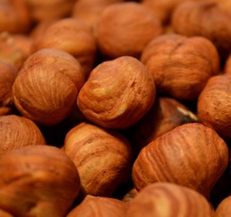 Hazelnuts  