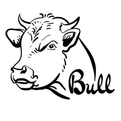 Bull logo, line art, black and white, vector illustration