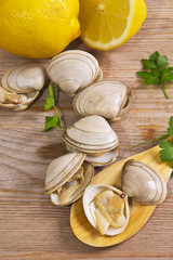 clams on wooden background