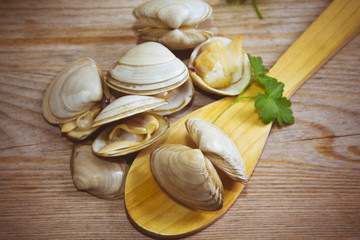 clams on wooden background