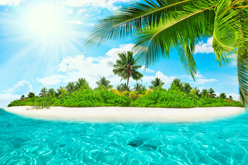 Fototapeta na wymiar Whole tropical island within atoll in tropical Ocean on a summer