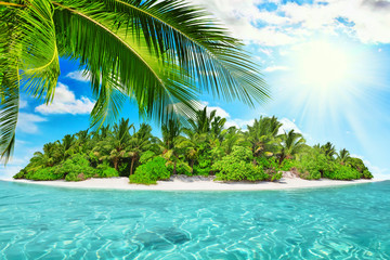 Fototapeta na wymiar Whole tropical island within atoll in tropical Ocean on a summer