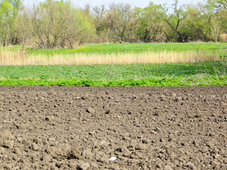 ploughed field