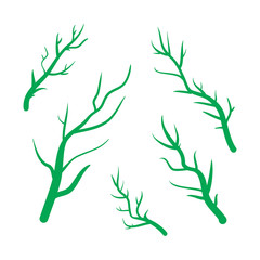 Green Branches vector hand drawn illustration. Icons on transparent background