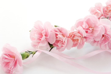 Naklejka na ściany i meble Mother's day card. Bouquet of pink carnations.