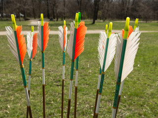 arrows, sports archery