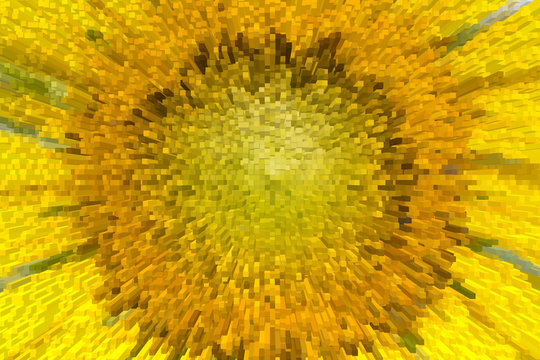 close-up of the sunflower with extrude effect