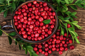 Cranberry closeup top view. Organic beries over wooden background.