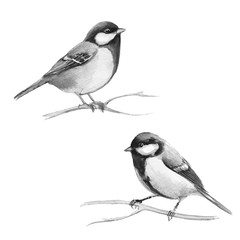 Cute small bird. Watercolor titmouse set. Black and white