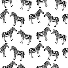 Fototapeta na wymiar zebra black and white seamless background. isolated on white background.
