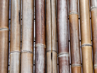 Wand mit Bambusstangen