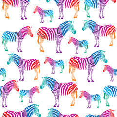 Fototapeta na wymiar Colorful zebra seamless background. isolated on white background.