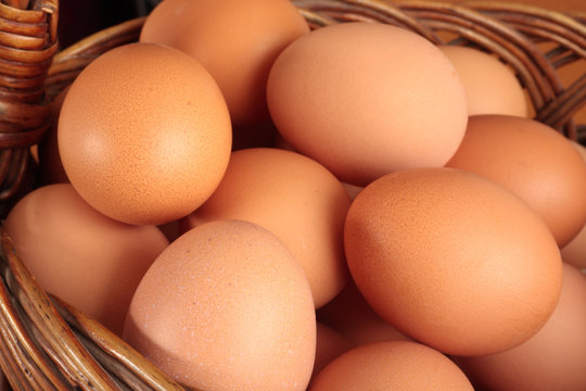 Chicken egg in basket