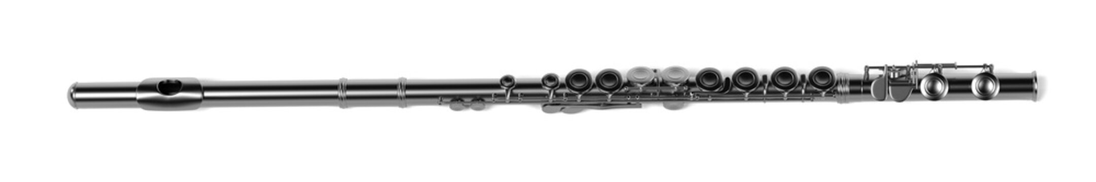 3d Renderings Of Flute (musical Instrument)