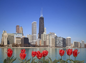View of Chicago from the pier with red tulips on front - 109126815