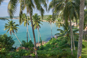 View of the blue ocean thrugh verdant grove of coconut trees
