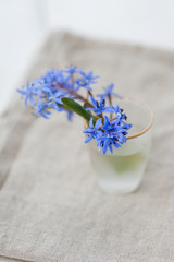 Small violet flowers in a small vase