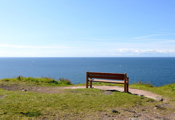 Naklejka na ściany i meble Empty bench near the sea staying lonely on the grass