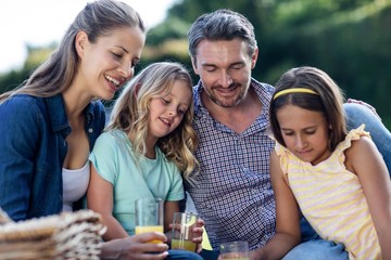 Family having a picnic