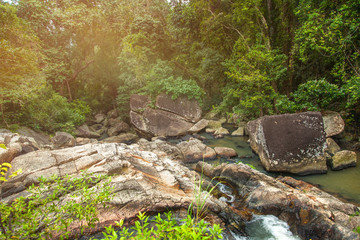 Obraz premium A small mountain river in a tropical jungle. Beautiful bright la