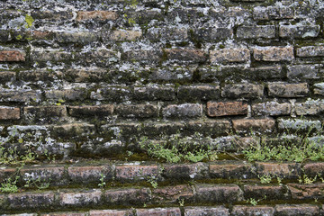 rough brick wall covered with moss