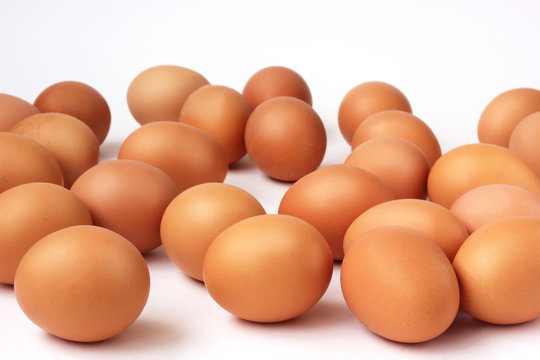 Brown chicken eggs on white background.