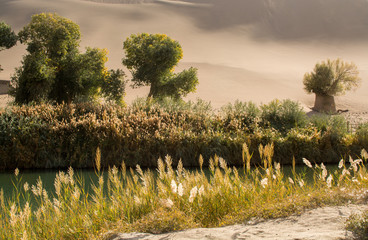 Oasis in desert at Mingsha Shan