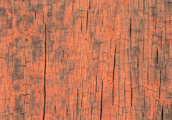 wood texture. background old panels