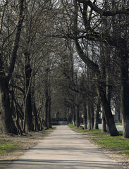 Pskov Park track in the spring