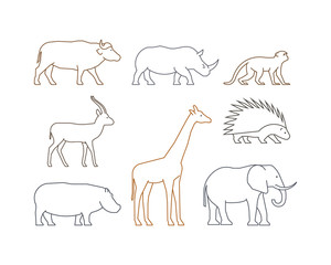 Colored vector line set of african animals