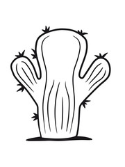 small green sweet cute cactus desert embrace balcony