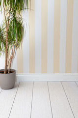Empty room with striped wall
