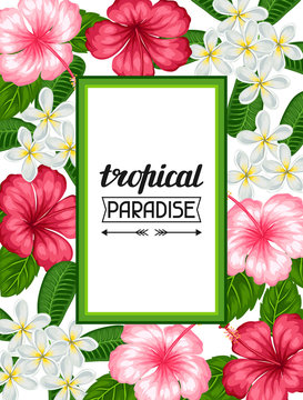 Frame with tropical flowers hibiscus and plumeria. Image for holiday invitations, greeting cards, posters
