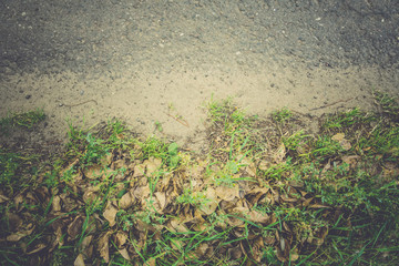 Cracked Rural Road Filtered