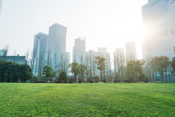 Fototapeta premium Green meadow near modern buildings on sunny day