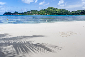ombre de cocotier sur plage des Seychelles 