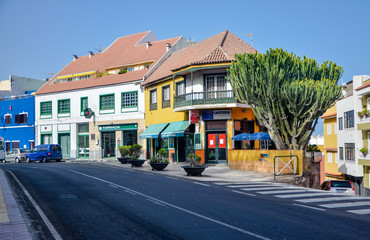 houses and giant cactus tree (euphorbia canariensis) in Punta Brava
Puerto de la Cruz, Tenerife, Spain